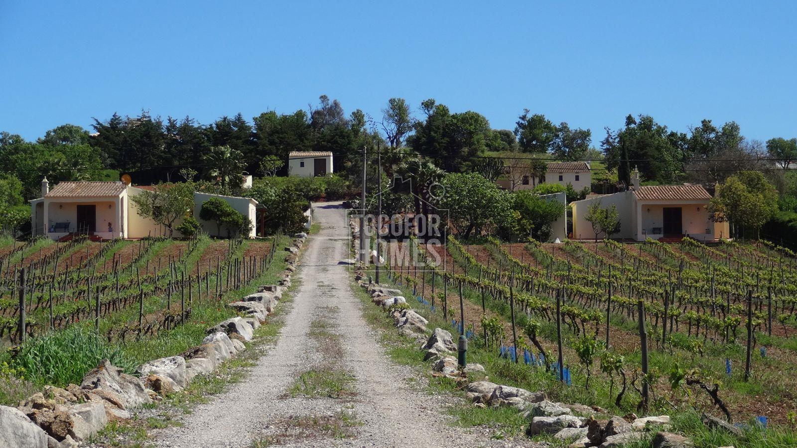 3 cottages with rental license, pool, land and commercial vineyard, near Espiche, West Algarve