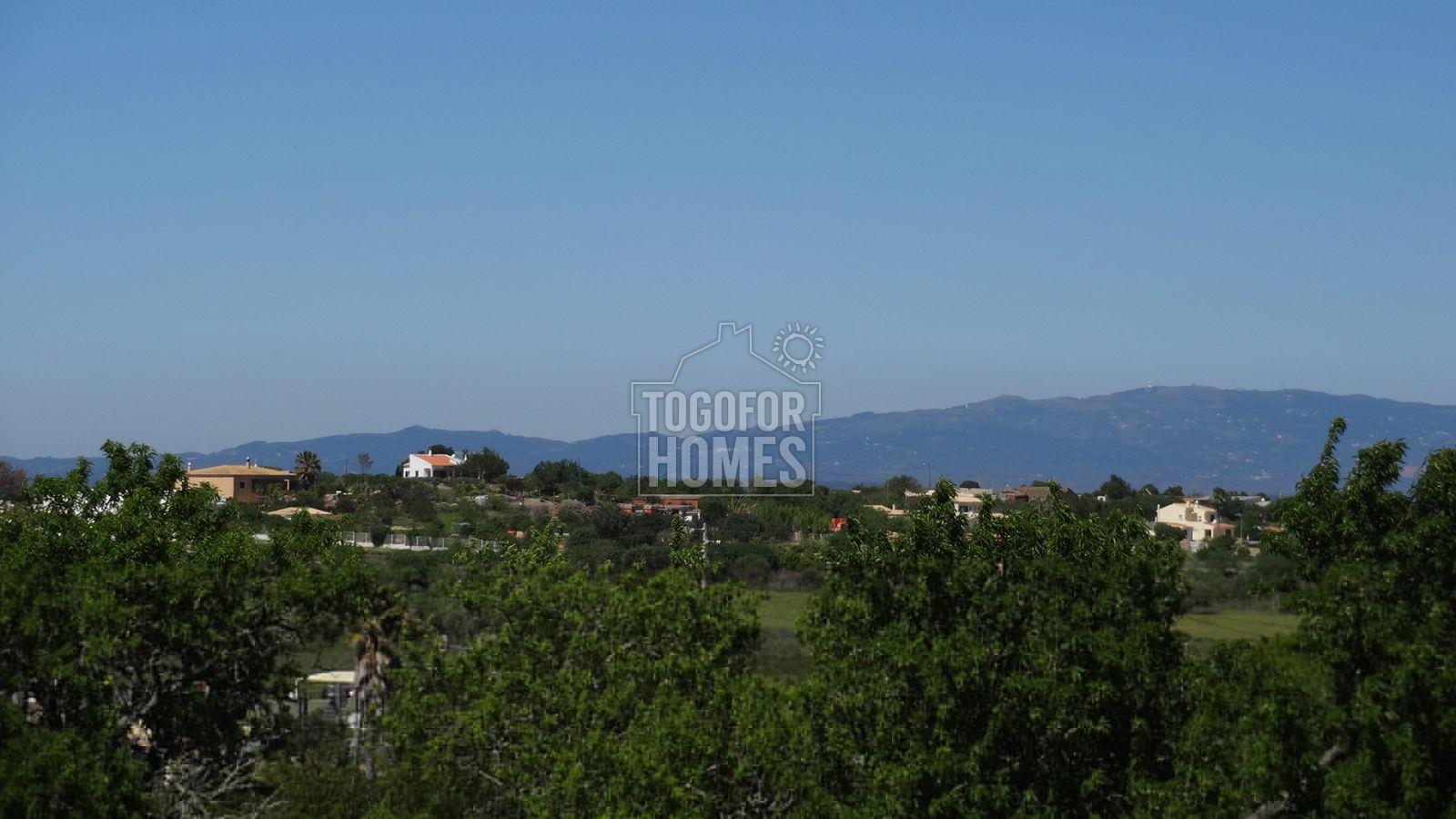 3 cottages with rental license, pool, land and commercial vineyard, near Espiche, West Algarve