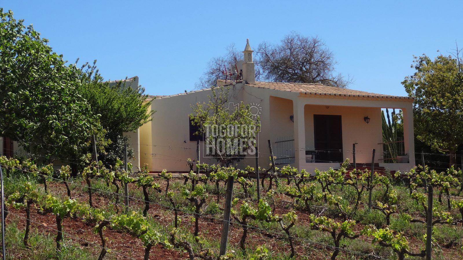 3 cottages with rental license, pool, land and commercial vineyard, near Espiche, West Algarve
