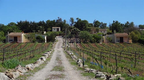 3 domki z licencją na wynajem, basen, ziemia i winnica handlowa, w pobliżu Espiche, West Algarve
