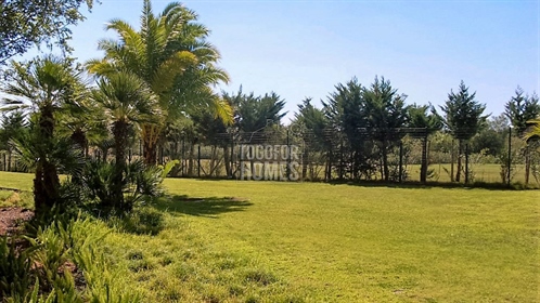 Oportunidade de Investimento: Apartamentos T3 num Golf Resort em Vilamoura