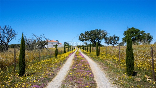 Charming and private 7,5 ha Country Estate in the South Alentejo, also Ideal for Horses, Livestock o