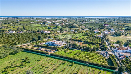 Villa immaculée de 3 chambres avec piscine, entourée de vastes jardins paysagers près de Luz de Tavi