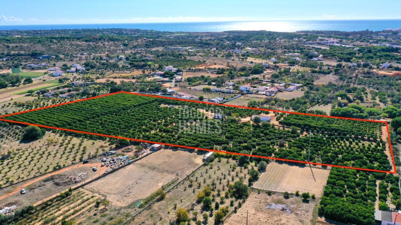 Großes Orangenplantagengrundstück mit Projekt für ländlichen Tourismus, Quarteira, in der Nähe von V