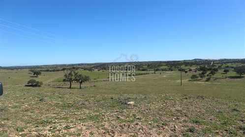 Huge plot of agricultural land with water and option to build, Ourique