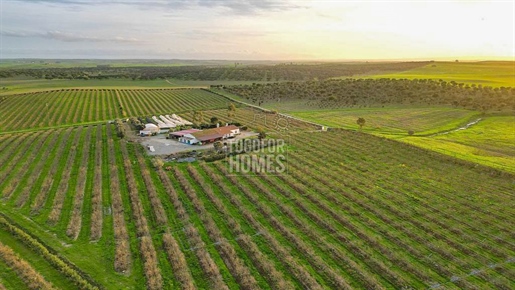 Landed estate for agriculture or rural tourism close to Aljustrel, Alentejo
