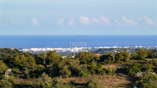Picturesque Plot of Land with Approved Project for Construction of 2 houses, Santa Catarina, East Al