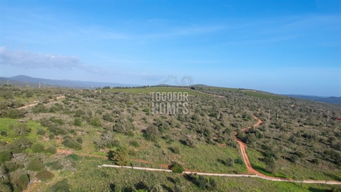 Large Plot with Approved Project For 3 Linked Villas in Benafim