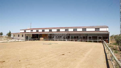 Riesiger landwirtschaftlicher Reiterhof in der Nähe von Aljustrel, Alentejo