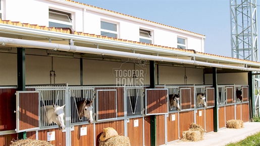 Huge Agricultural Equestrian Estate near Aljustrel, Alentejo