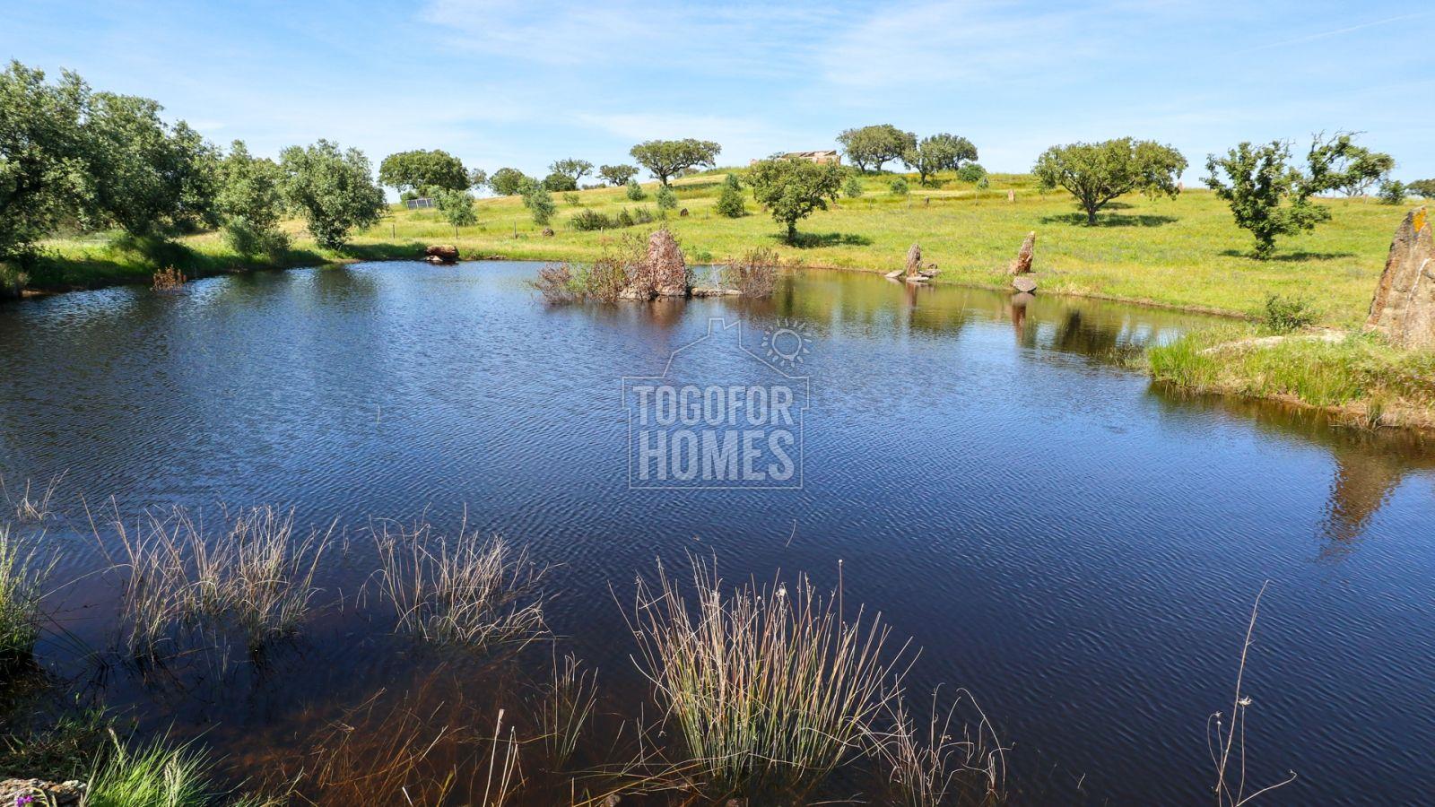 Equestrian centre with 3 bed Country House and lake view near Ourique