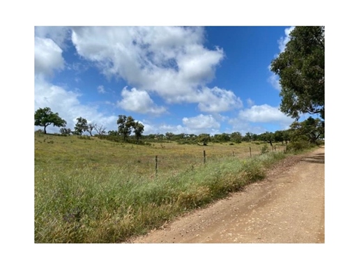 Rustic land with 18 ha, 2 km from Cercal do Alentejo