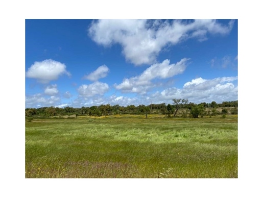 Rustic land with 18 ha, 2 km from Cercal do Alentejo