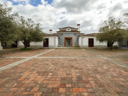Estate, of 7,5 hectares, adjacent to Quinta do Peru