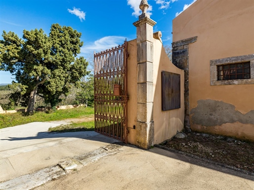 Historic Estate with 17th-Century Manor, Chapel, and Organic Vineyards in Torres Vedras