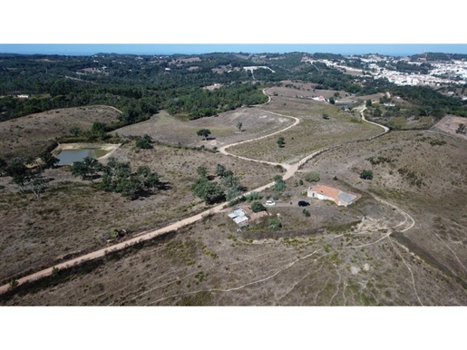 Mixed land, with 255775 sqm