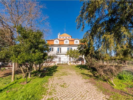 Farm, with 5.6 ha, located in Évora, close to the upcoming hospital (which is already under construc