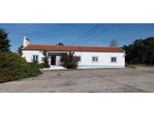 Detached villa with 8.000 sqm, located in the surroundings of Alcácer do Sal, with 1 house with 210