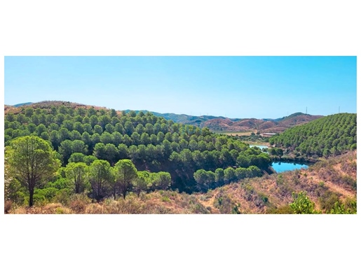 Herdade para Venda na Região de Silves