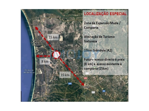Terrain de 20 Ha avec permis de construire approuvé dans la zone de Comporta (Muda)