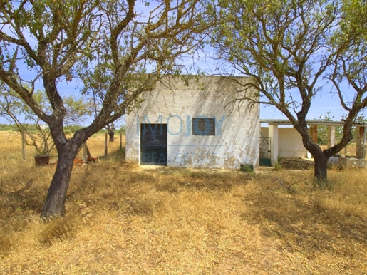 Rustic Land in a Natural Refuge Area