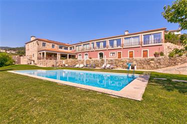 Farm with pool and Luxury House in Douro