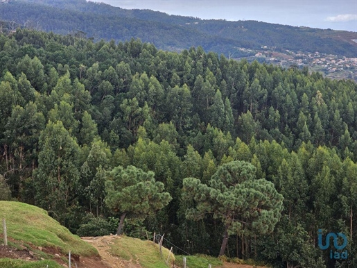 Tierra en el Madeira, Santa Cruz