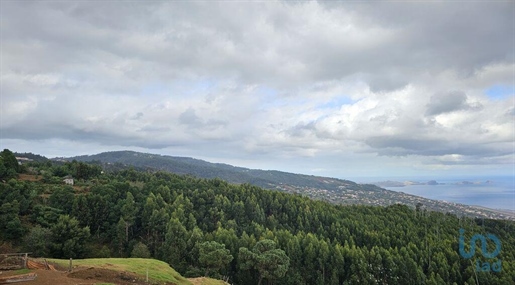 Ground in Madeira with 10960,00 m²