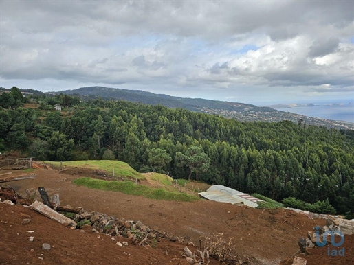 Ground in Madeira with 10960,00 m²