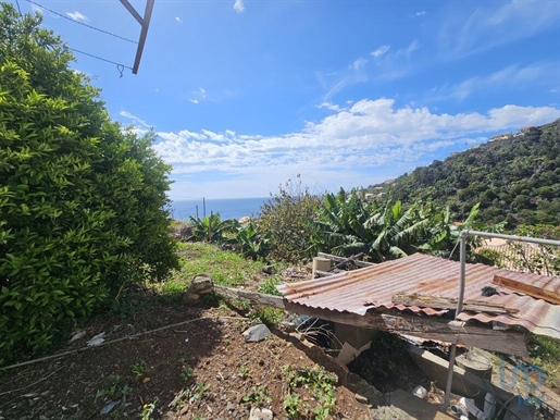 House with 3 Rooms in Madeira with 95,00 m²