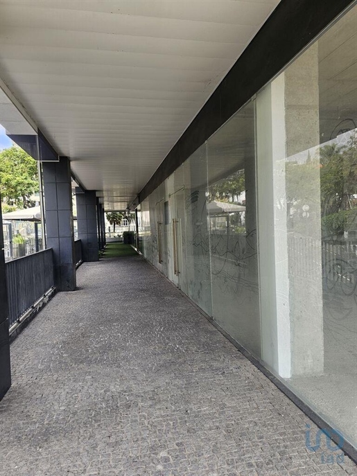 Shop / Commercial Establishment in Funchal (Sé) with 200,00 m²