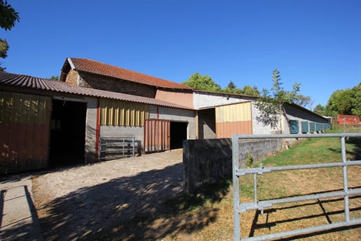 Magnificent property for equine breeding - Bienven