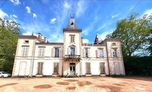 Château et Domaine Viticole - Beaujolais