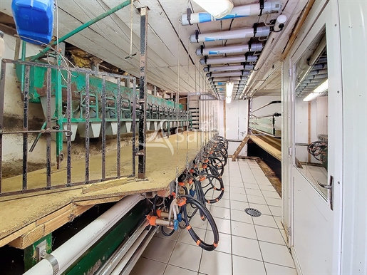 Elevage Caprins-Laboratoire - Fromagerie - Proximite Montrottier