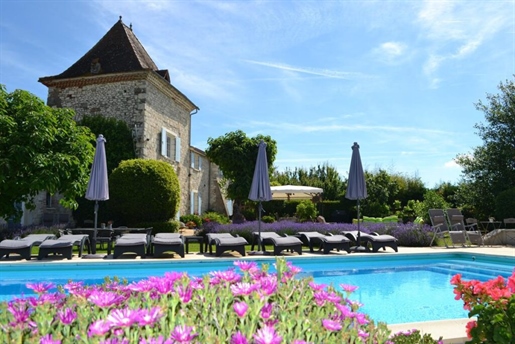 Magnificent property with 3 gîtes and 3 guest rooms in Lot-Et-Garonne