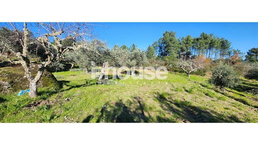 Land in Possaco with 28895m2