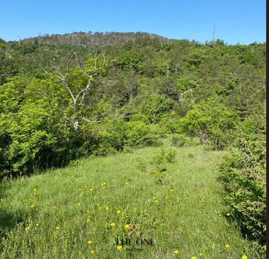61.000 square meter land, Dalmatia