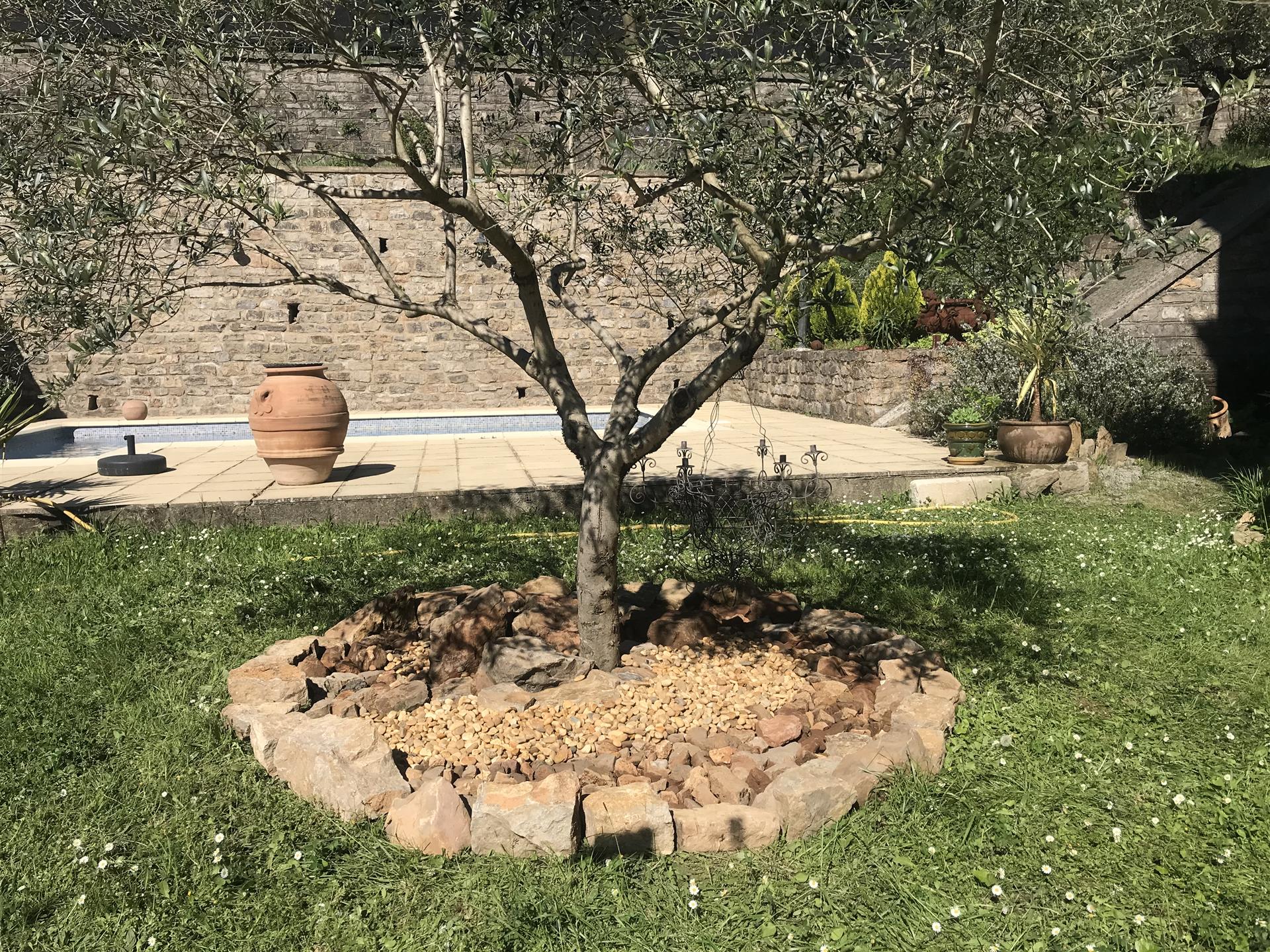 At the foot of the Cévennes