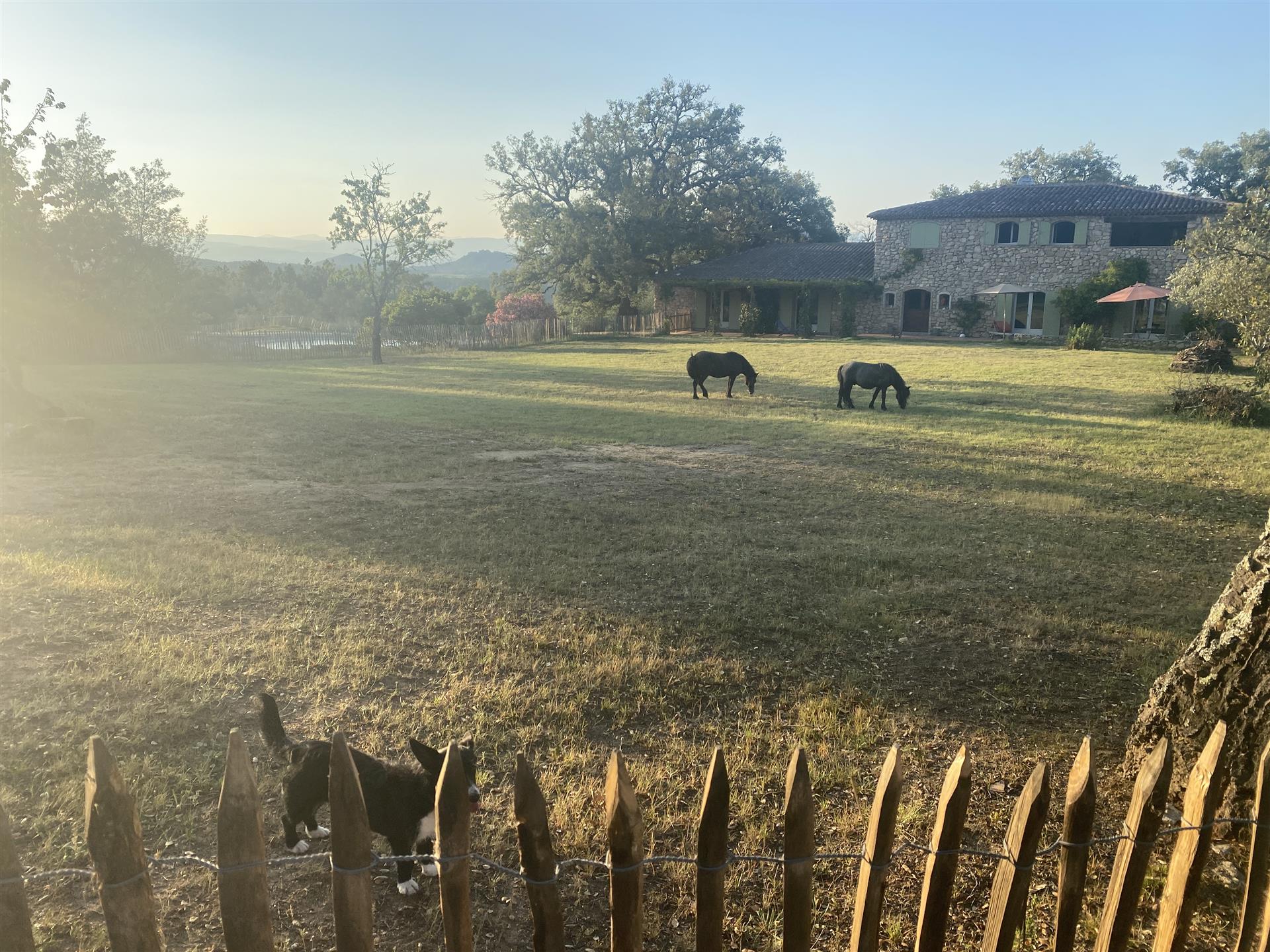 Moradia em ótimo estado no meio da natureza