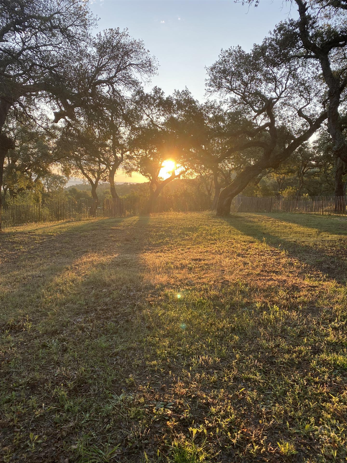 Moradia em ótimo estado no meio da natureza