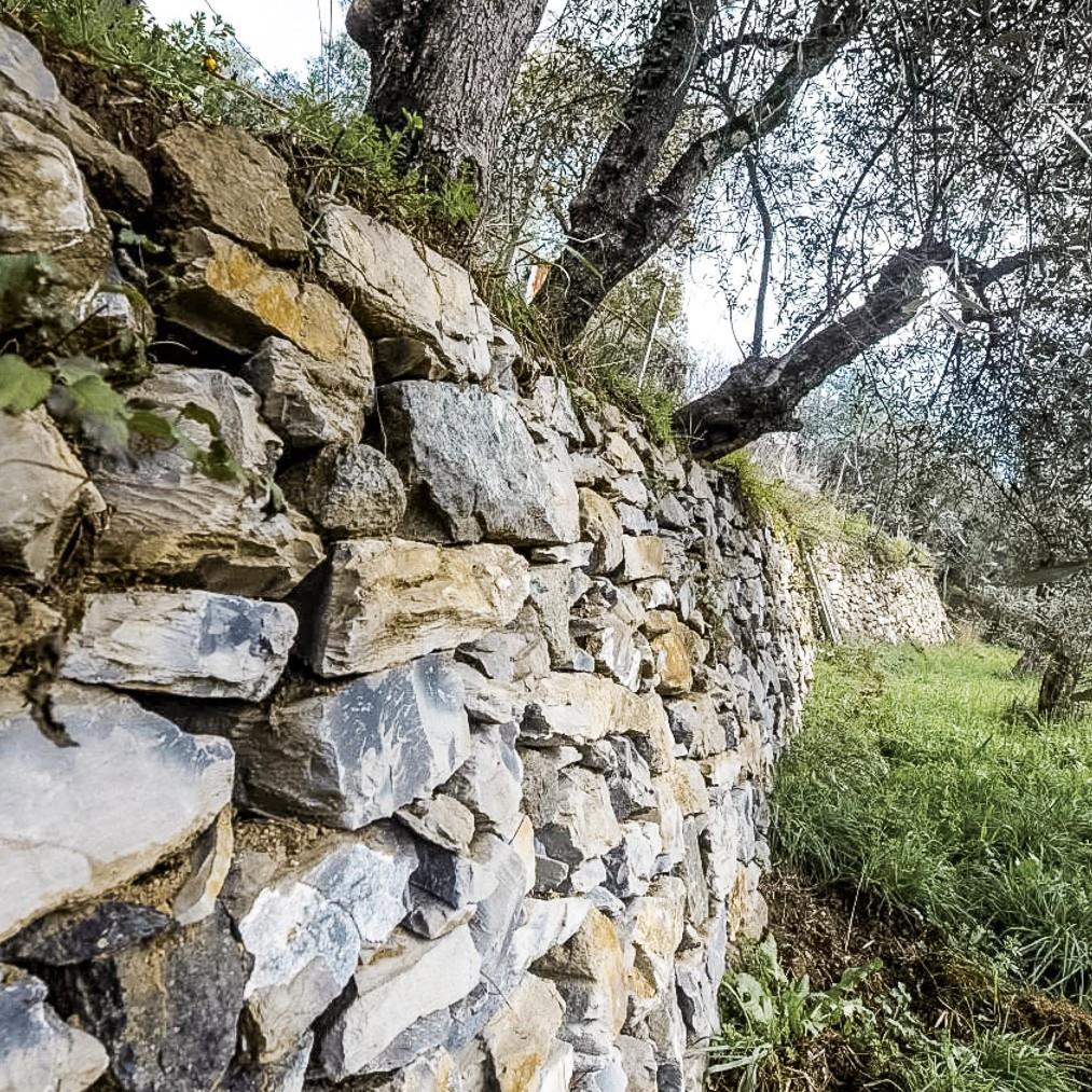 Charming Row House in Casarza Ligure, Liguria