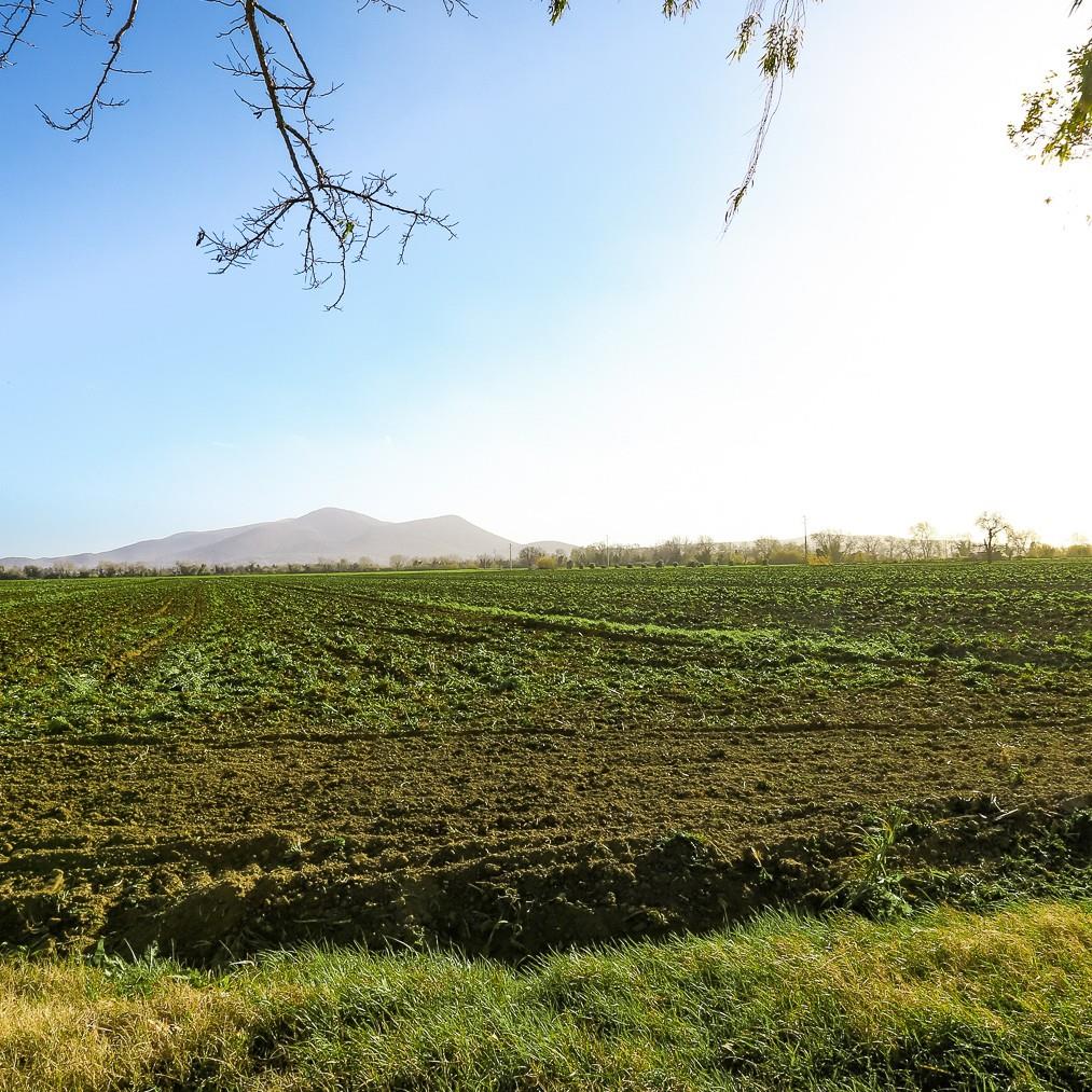 Charming Country House in Grosseto, Tuscany