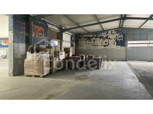 Warehouse Sale Porto