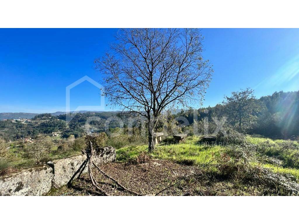 Quinta Magães, 80 hectares with 2 hectares of construction area, in Marco de Canaveses
