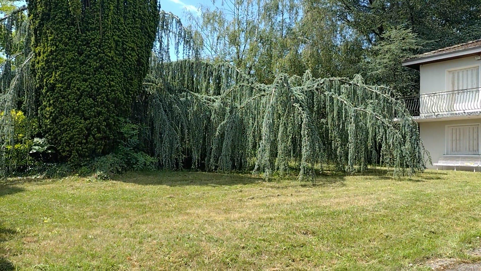 Vilă într-un cadru verde