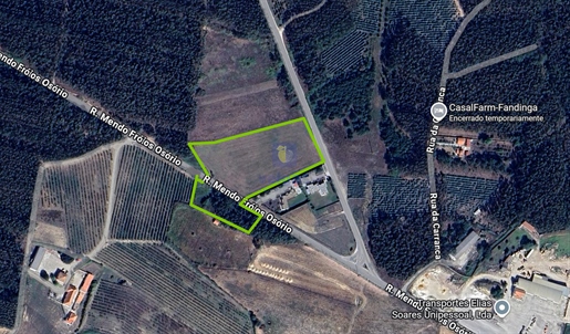 Mark på 13 440 m² i Serra d'El-Rei, Peniche