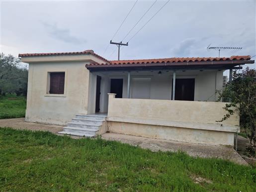 Property for sale in Agia Marina