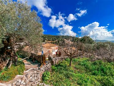 Quaint collection of authentic stone cottages with courtyard, enclosed parking and cafe business