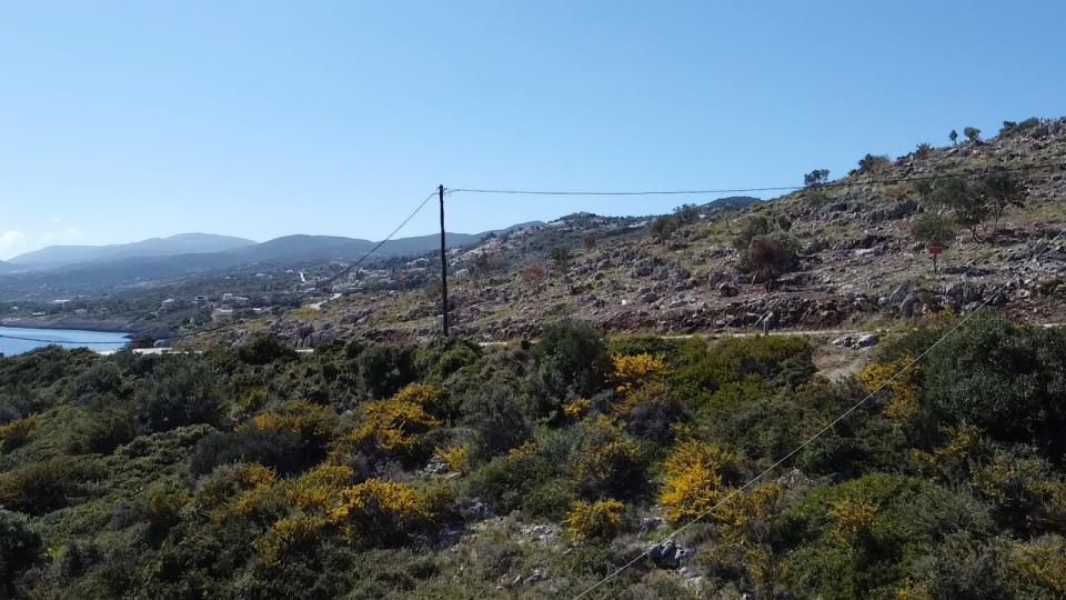 Land for sale, Agios Nikolaos, in Zakynthos, Greece