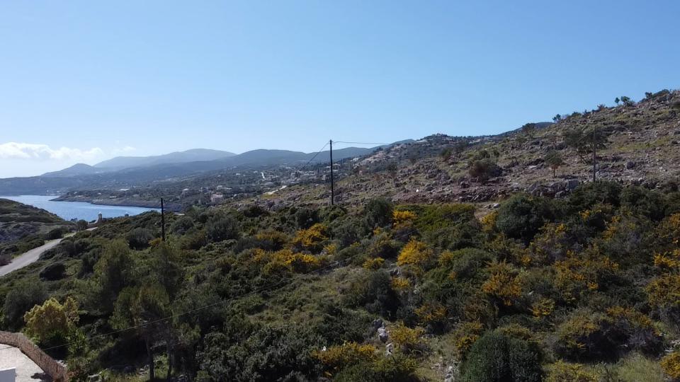 Land for sale, Agios Nikolaos, in Zakynthos, Greece